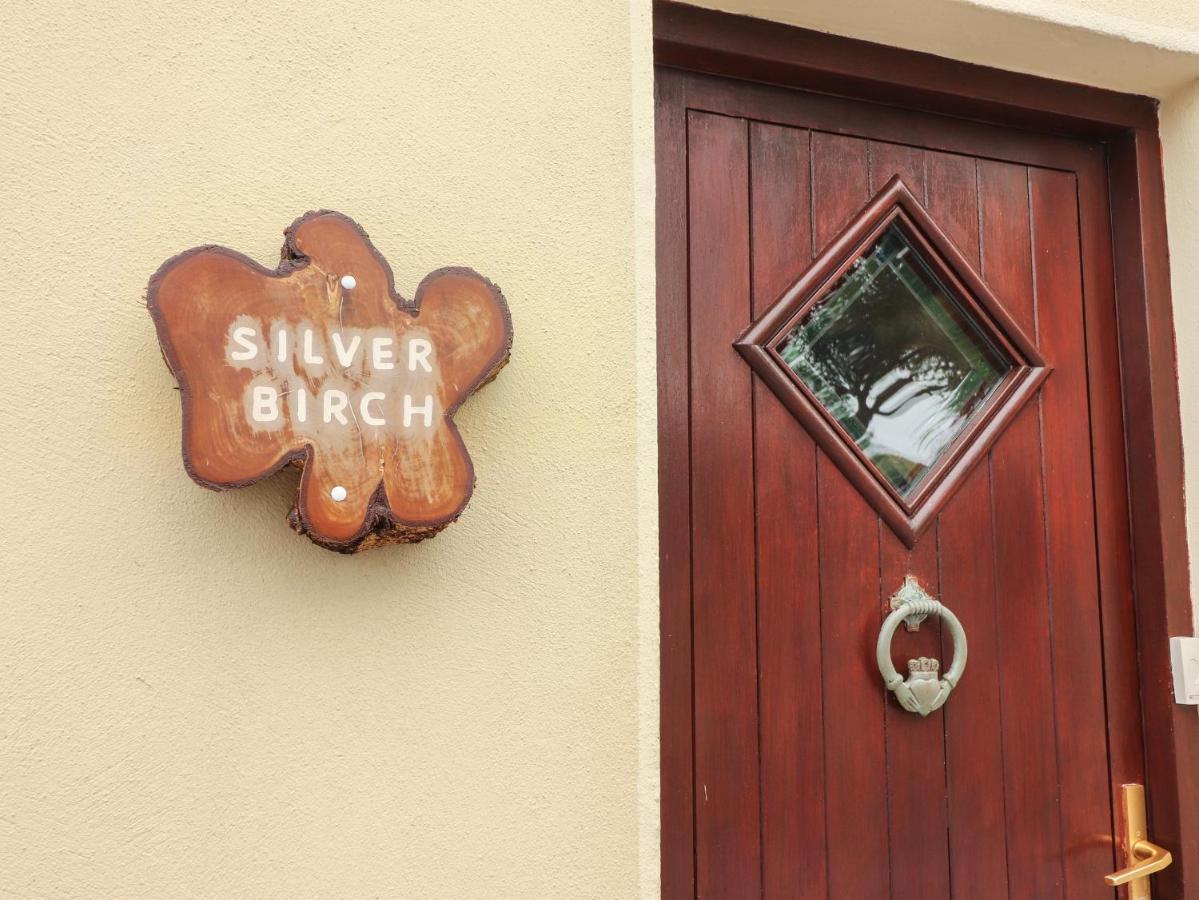 Silver Birch Cuar an Chláir Eksteriør billede